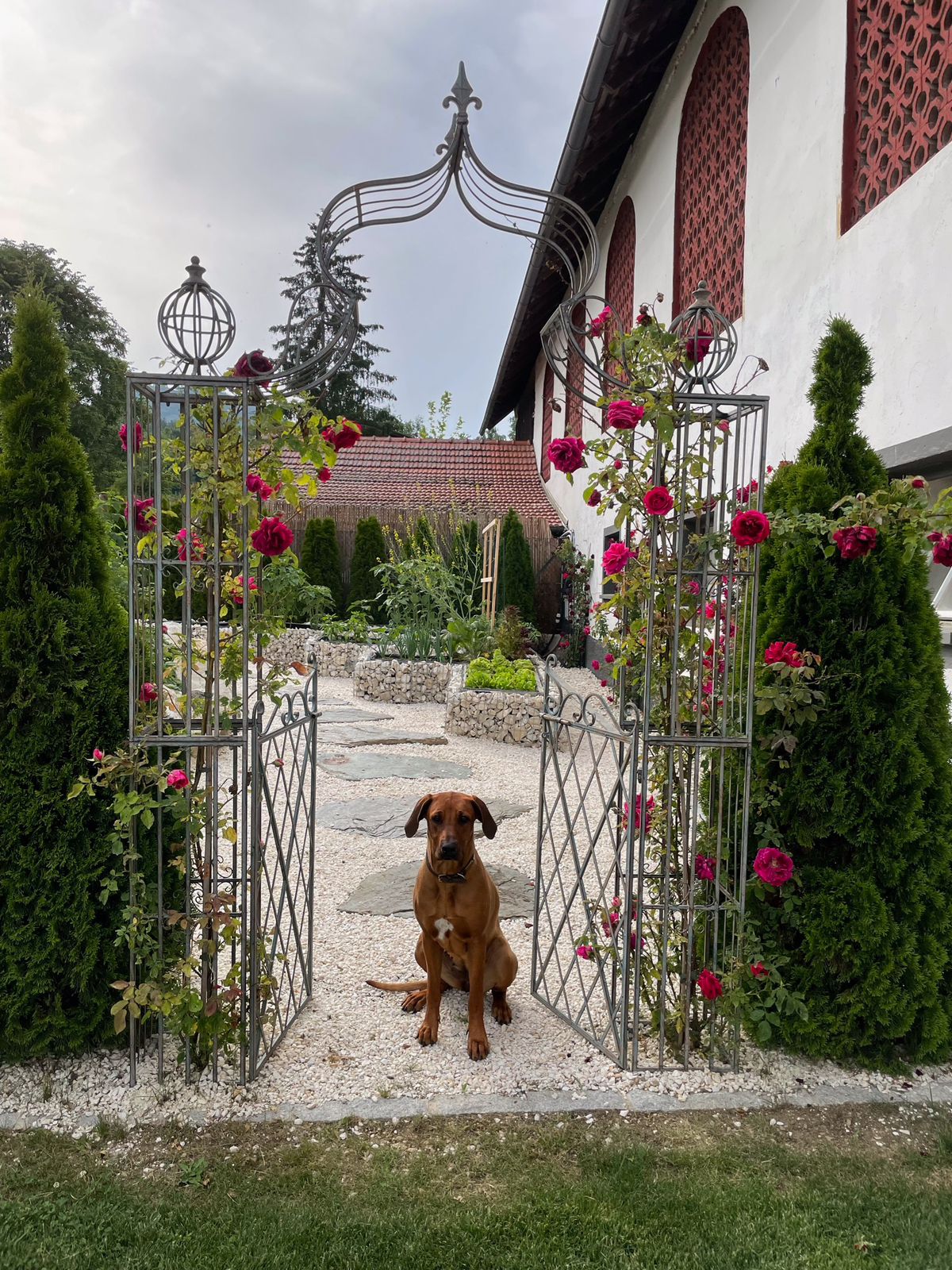 Kogelnig Horses - Anlage 2