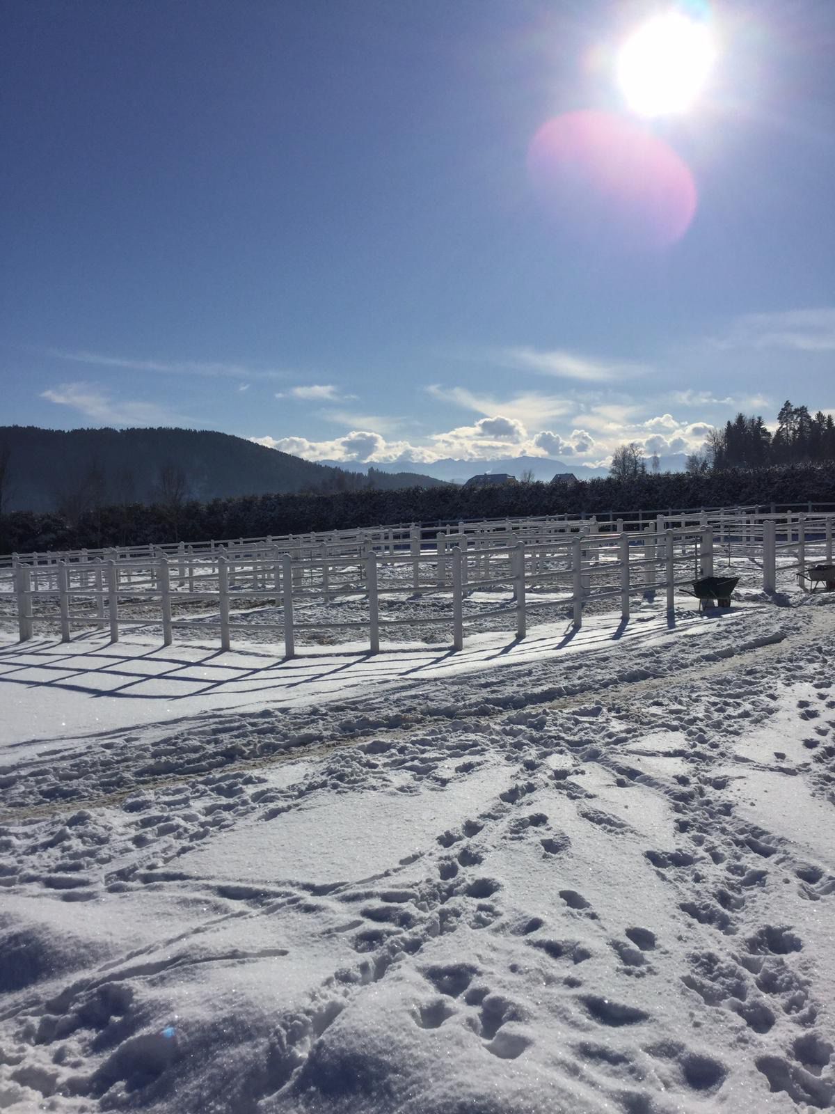 Kogelnig Horses - Anlage 5