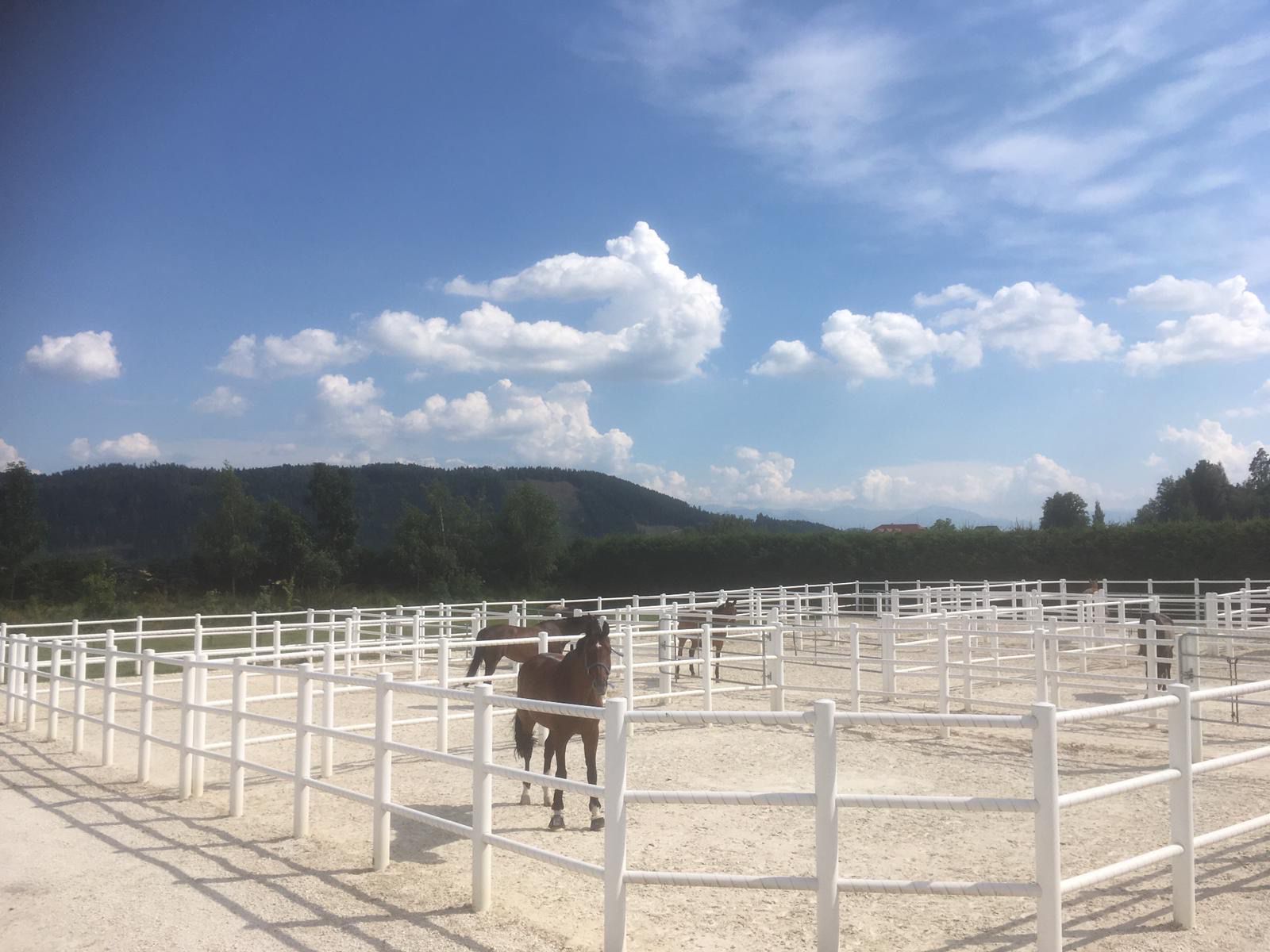 Kogelnig Horses - Anlage 6