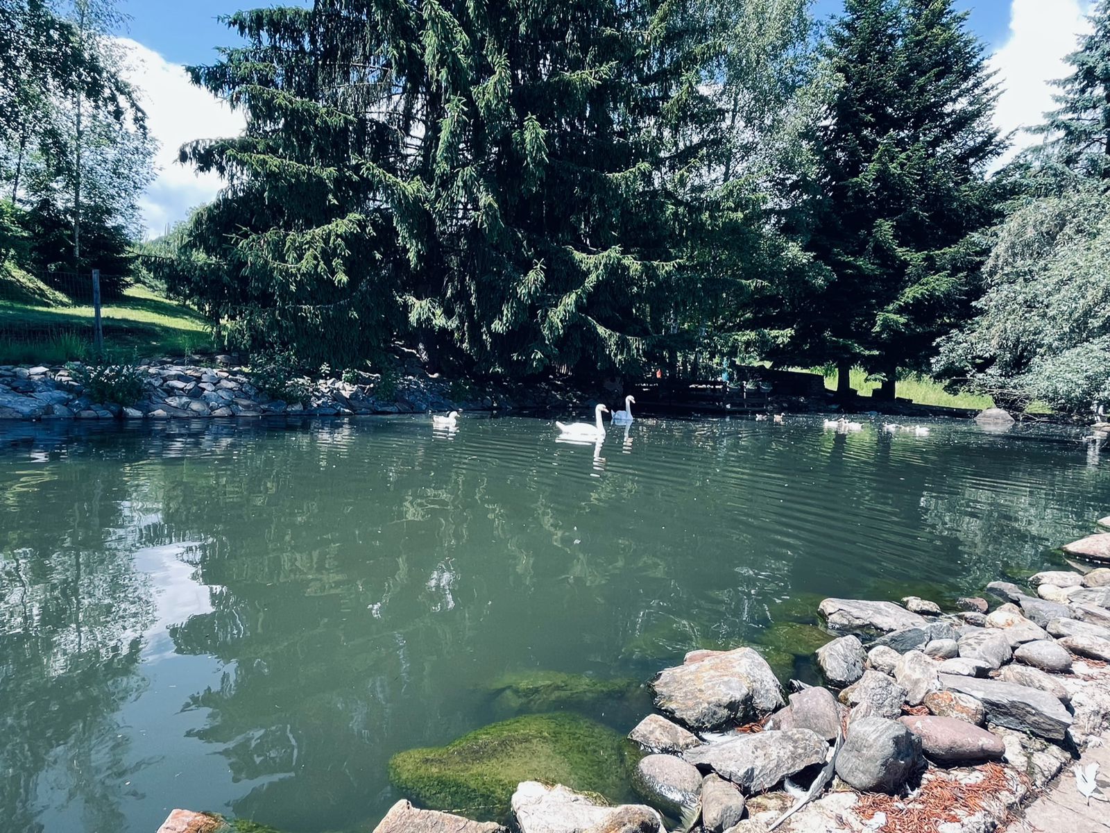 Kogelnig Horses - Anlage 12