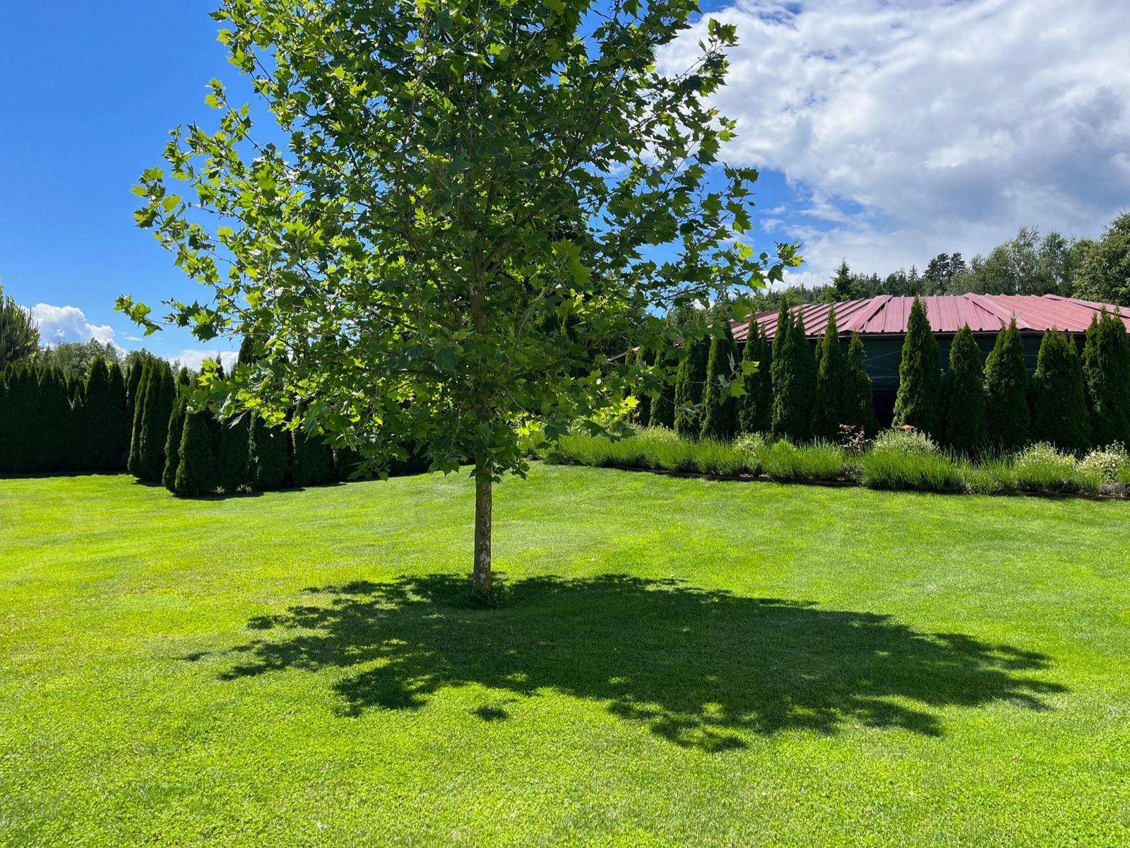 Kogelnig Horses - Anlage 15