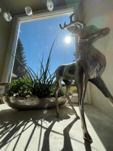 Kogelnig Horses - Gaestebereich 7