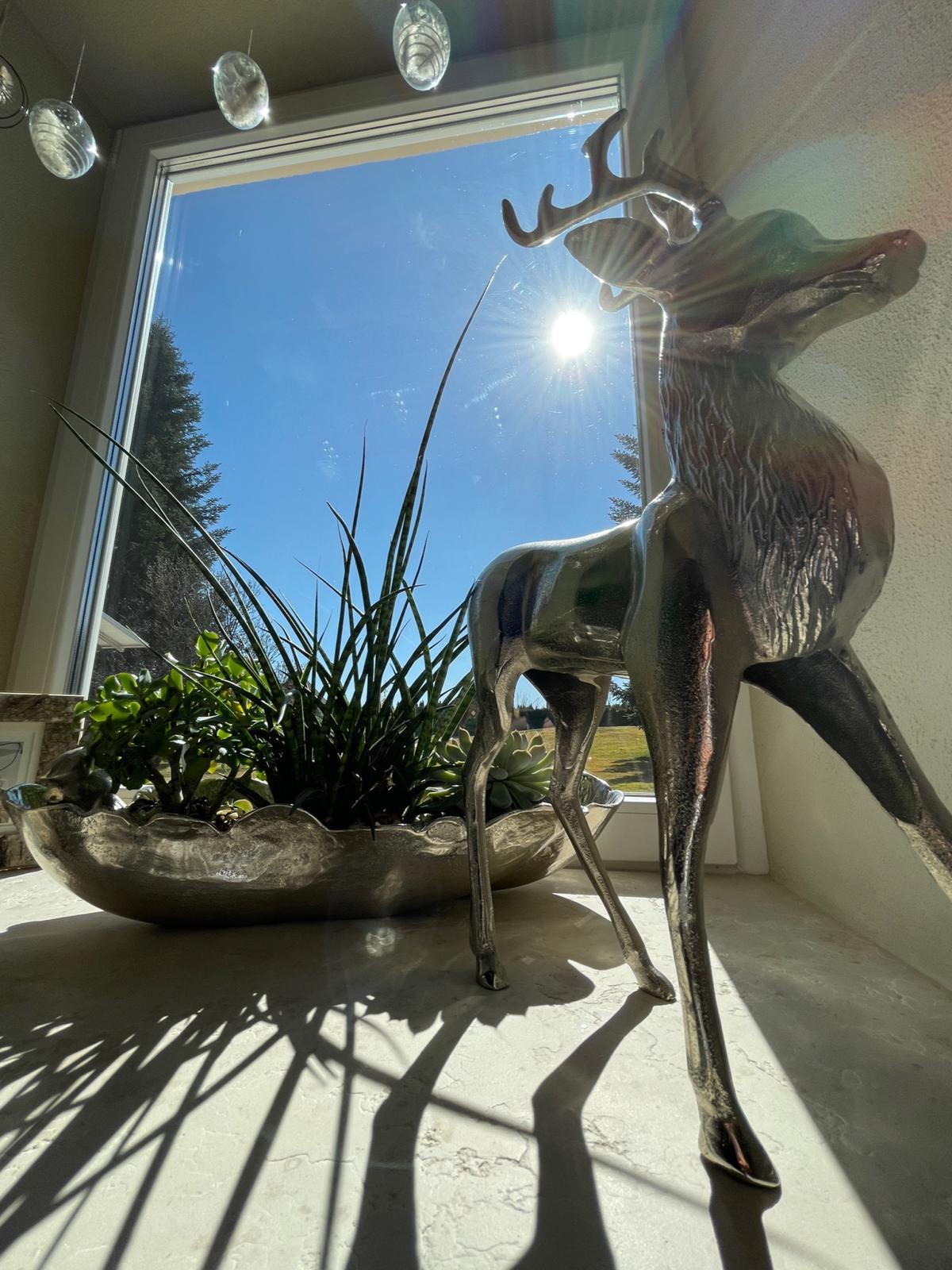 Kogelnig Horses - Gaestebereich 7